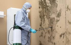 Professional Mold Prevention & Removal  in Clear Lake, WI